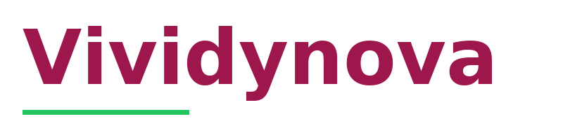 Vividynova logo
